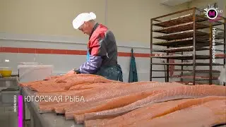 Мегаполис - Югорская рыба - Нижневартовск