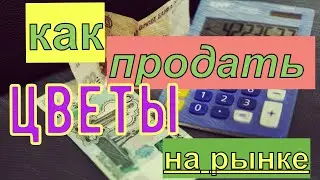 Как выйти на рынок и начать торговать своими цветами.