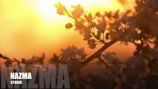 NAZMA studio_Сатуева Мадина_
