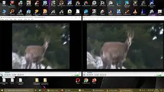 Gilisoft video editor 15.5 VS  toolkit stabilisation