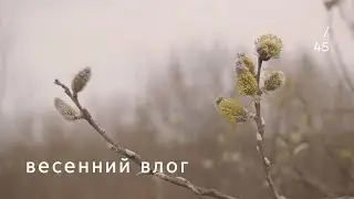 Ep. 45 🌾 sub | everyday vlog | spring routine | gardening