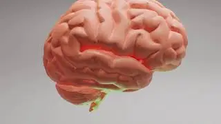 Brain video in 3d animation short