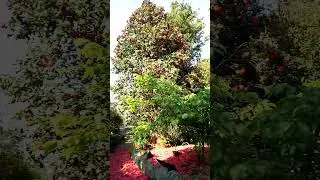 VID 19740701 183115