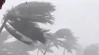 Mass Evacuation in China! Super Typhoon Yagi hit Hainan Island, wind 223 km/h. Vietnam is next?