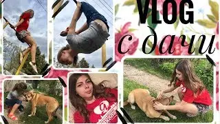 VLOG: с дачи... || Лунегова