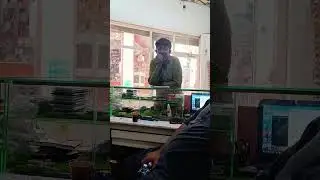 customer filam dalty howy #computer #tech #zflip #samsungzflip3