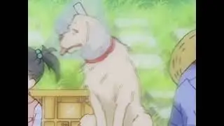 shin eva dog fancam