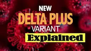 New Delta Plus Variant Explained