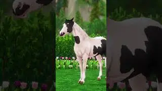 Have You Thought About These Horse Skills? | Star Stable Agility