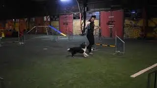 Chi | play & reward