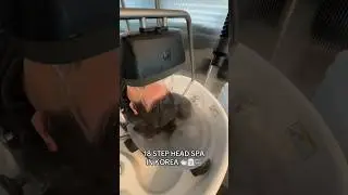 18 STEP Head Spa in Korea?! *BEFORE and AFTER
