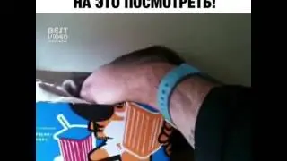 хочу такого зверька