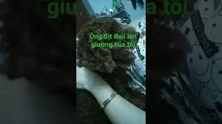 thần báo lên giường