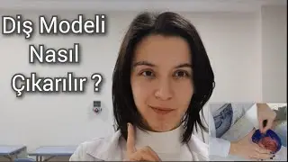 Diş Modeli Nasıl Çıkartılır? Hangi Malzemeler Kullanılır? | Diş Hekimliği Fakültesi