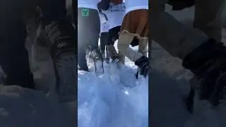 Хотели бы поучаствовать? 😀