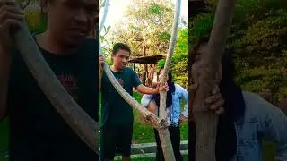 SUKA INTIP ISTRI TETANGGA