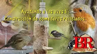 Ayudando a las aves II : Construcción de comederos reciclados