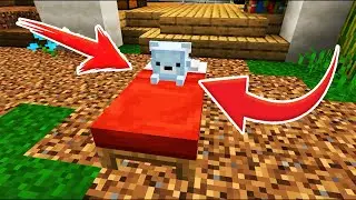 Amazing Thing In @Wallibear Texture Pack 😍