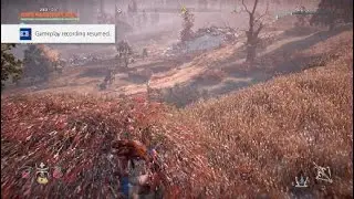 Horizon Zero Dawn™: Complete Edition_19700101121650