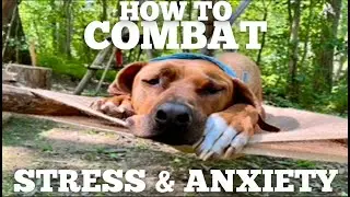 Are STRESS & ANXIETY KILLING Your Physcial Progress?!?!