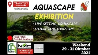 Aquascape Exhibition Pekalongan