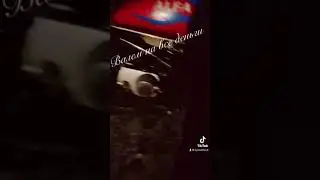 ЛЕТИТ КРУЗАК 200