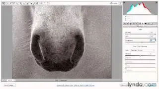 Adding digital film grain texture effects - Adobe Photoshop Essential