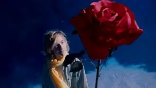 Фантазия на тему сказки "Маленький Принц"