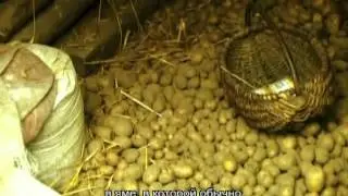 Авраам Авиэль - Авиэль в укрытии, после гибели брата Пинхаса