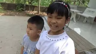 Lần Đầu Tiên Thấy Con Tắc Kè Ăn Con Ong Trong Tự Nhiên [ FPL CHANNEL ]