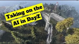 Taking on the AI in DayZ