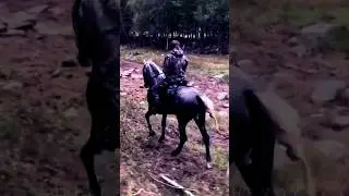 Джон Стюарт Бэлл 