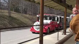 Toronto Zoo and Zoomobile ride