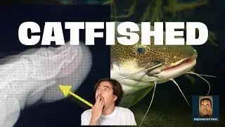 Stabbed in the toe by a catfish barb