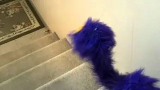 Purple Bird Puppet -001- Test