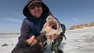 LAST ICE AGAIN!!! WE MAY HAVE CLOSED THE SEASON!!!