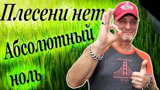 How to get rid of mold. Cityfarm Green Boss.
