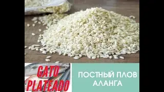 ПОСТНЫЙ ПЛОВ АЛАНГА