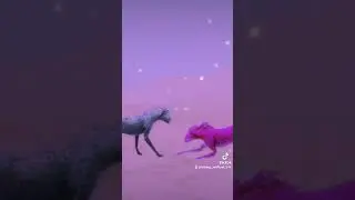 Пж подпишись на мой тт канал там много интересного заранее спасибо 💗