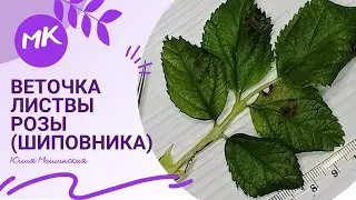 Мастер класс 