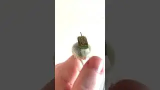 My painting ring.