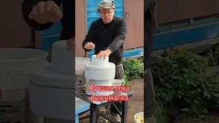 лучшая соковыжималка на 2024 гол #всеиздерева #стройка #деревообробка #дача #яблочныйсок