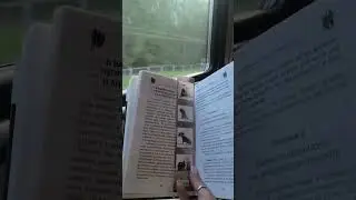 19 июня 2024 г.
