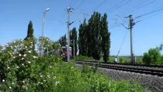жаба 461-058-6