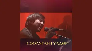 Соолуган гүлдөр (2023 Remastered Version)
