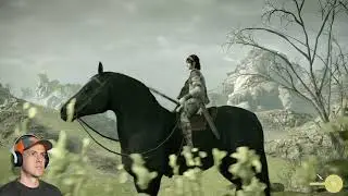 10th Colossus - Shadow of the Colossus