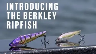 Unleash the Science: Meet the All-New Berkley Ripfish