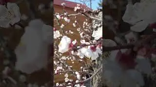 Spring - The Products Explorer YouTube Channel