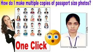 How do I make multiple copies of passport size photos?