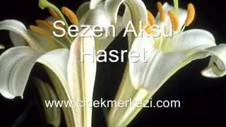 Sezen Aksu - Hasret - http://www.cicekmerkezi.com